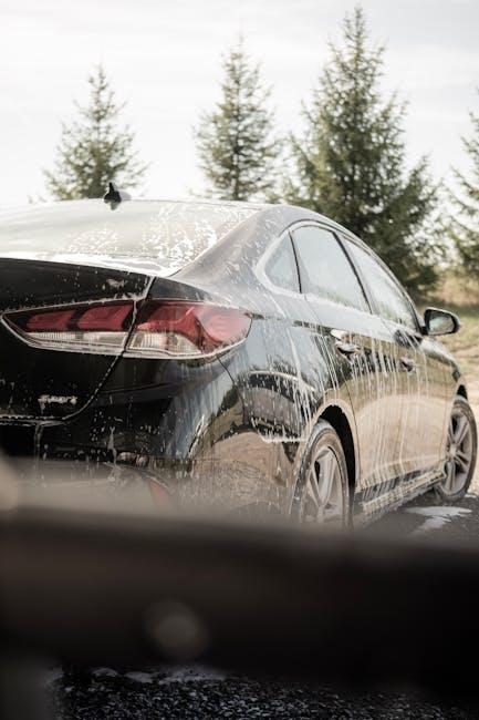 A black sedan covered in soap suds is being cleaned outdoors surrounded by pine trees.